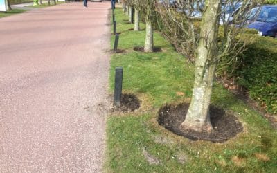 Spiegeltje, spiegeltje, … moet alles wel zo netjes?