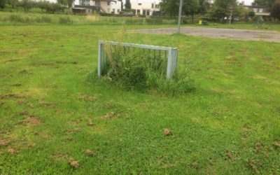 Goal! Of toch niet?
