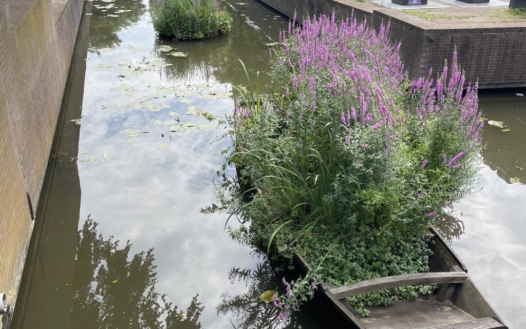 Een varend monument voor biodiversiteit